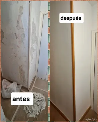 pintor profesional economico