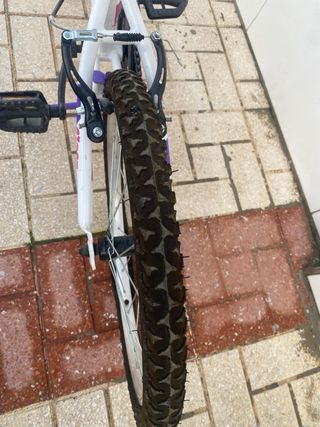 Bici infantil 20 DENBIKE