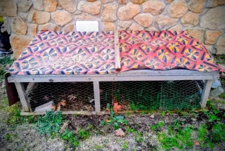 GALLINERO / CONEJERA EXTERIOR