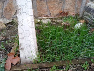 GALLINERO / CONEJERA EXTERIOR