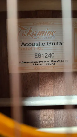 Guitarra Takamine EG124C