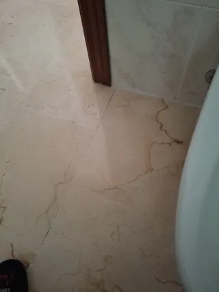 Canana de cuero para 24 cartuchos calibre 12