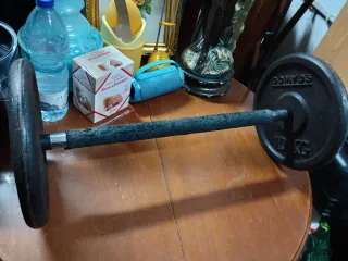 Barra de pesas con discos 10kg