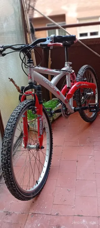 Bicicleta Infantil Topbike Roja