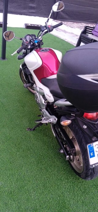 Suzuki Gladius 650 2009