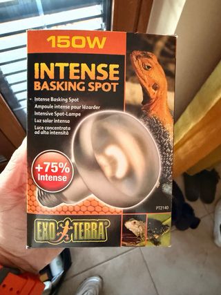 Lampada spot intensa