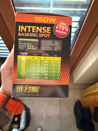 Lampada spot intensa