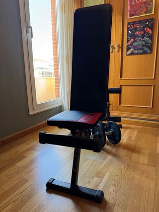 Banco y Mancuernas Gimnasio