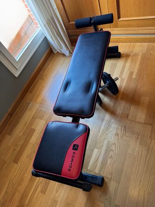 Banco y Mancuernas Gimnasio