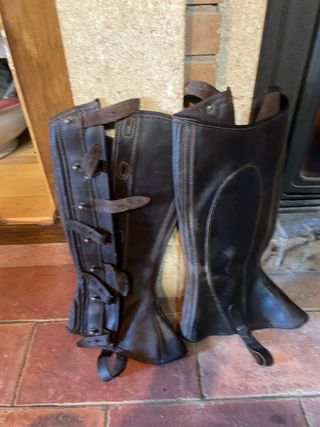 Cabezal de caballo con 2 bocados