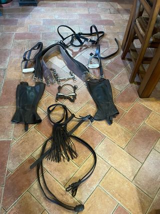 Cabezal de caballo con 2 bocados