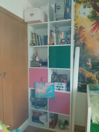 Cama nido con escritorio y estantería