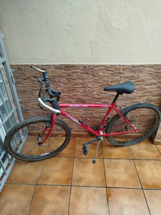 Bicicleta de Montaña Roja
