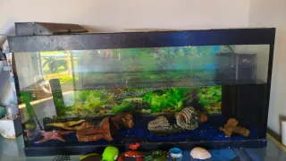 Acuario abierto sin decoración