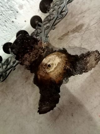 +200 AÑOS CANDELABRO BRONCE GRANDE B E