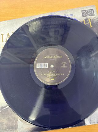 Ian McCulloch Faith & Healing Vinilo