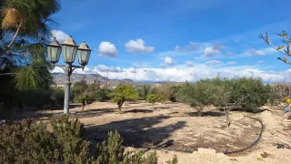 Chalet matola crevillent