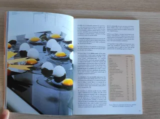 El libro del huevo