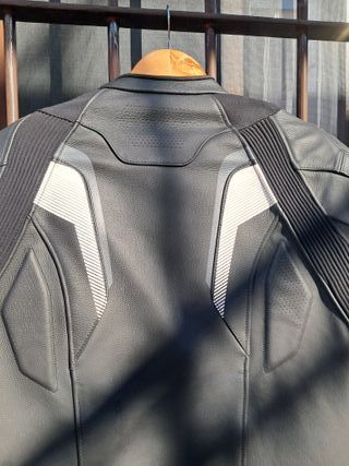 Chaqueta de Moto piel ALPINESTAR GP PLUS R V2