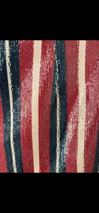 Falda Zara rayas lentejuelas