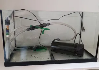 Acuario 100L y Acuario 80L