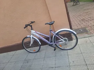 Bicicleta Morada y Blanca