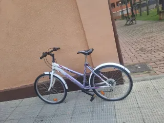 Bicicleta Morada y Blanca