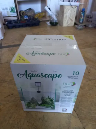 Kit Nano Acuario Plantado 10L ICA