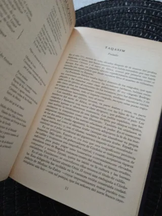 EL PUENTE DE ALCANTARA I