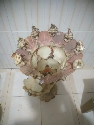 Copa Decorativa Conchas Beige y Rosa