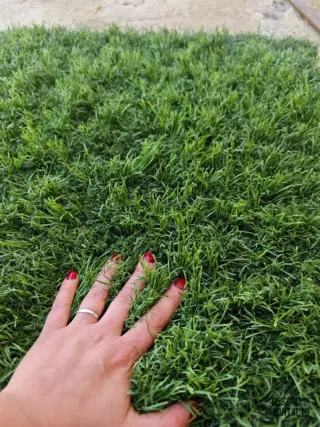 Césped artificial reciclado