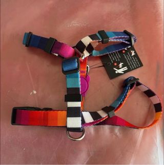 Arnés para perro multicolor talla XS