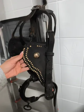 Cabezada para 200 kg