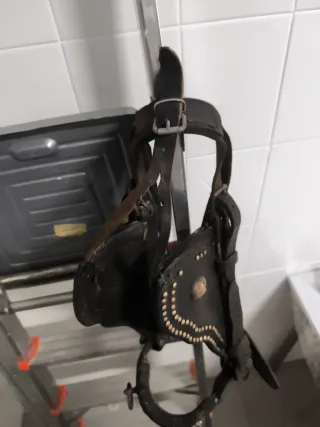 Cabezada para 200 kg