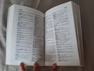 Diccionario español-italiano e italiano-español