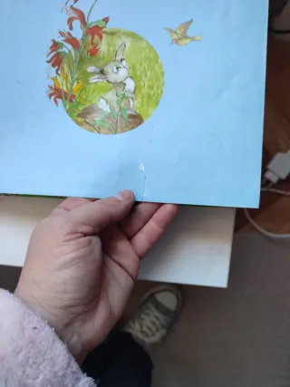 Los más bellos cuentos de animalitos (Spanish E...