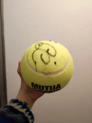 Pelota de tenis firmada por Marin Cilic