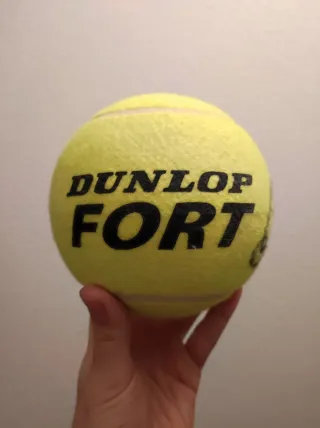 Pelota de tenis firmada por Marin Cilic