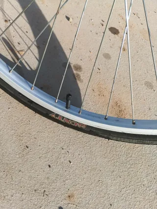 Bicicleta Monty Paseo Talla 26