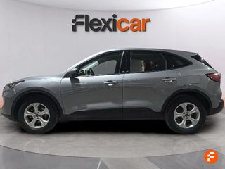 Ford Kuga Trend 1.5 EcoBlue 88kW (120CV)