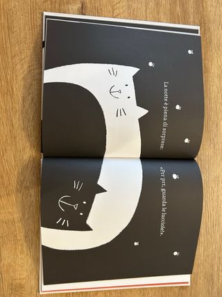 Gatto Nero, Gatta Bianca