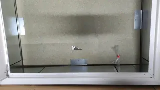 Armario empotrable 580x780x150