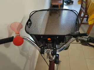 Bicicleta Holandesa Paseo con Marchas