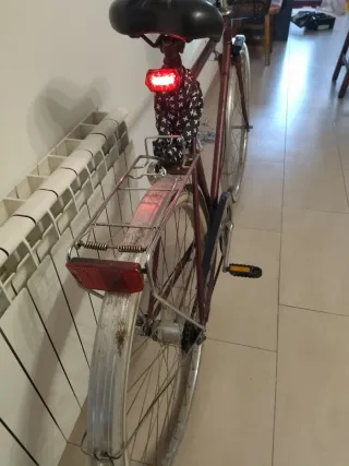 Bicicleta Holandesa Paseo con Marchas