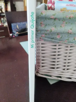 Mi primer Quijote