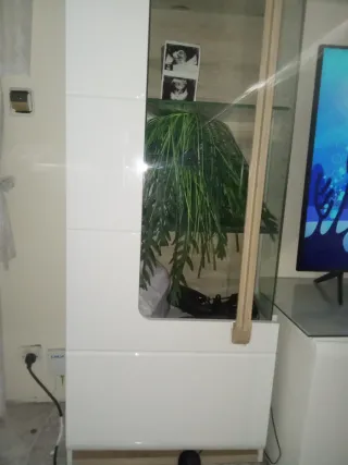 Vitrina cristal con luces LED