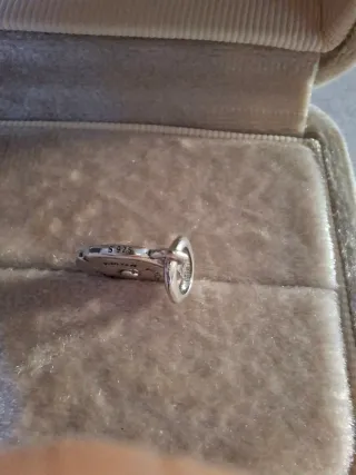 Pandora Medaglione Cuore Sacro Argento