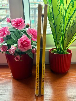 2 libros Aventuras de Tintin: Vuelo 714 y Tornasol