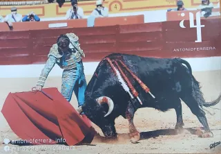 Torero - Antonio Ferrera - Fotografía toreando