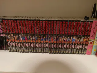 Colección manga Kingdom